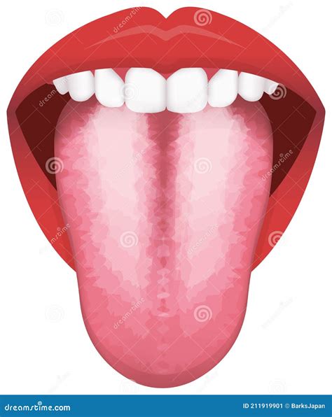 White Or Coated Tongue Dry Mouth Open Human Taste Organ With Symptoms Of Stomatitis