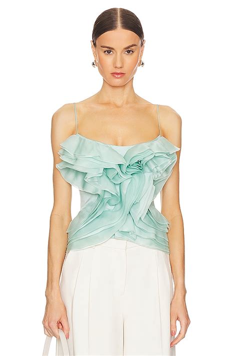 Rozie Corsets Ruffled Organza Corset Top In Mint Revolve