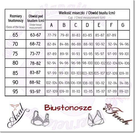 Tabele Rozmiar W Bieliznaitp