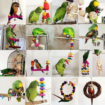 Pack Bois Supporter Jouets M Cher Pour Oiseaux Perroquet Eur