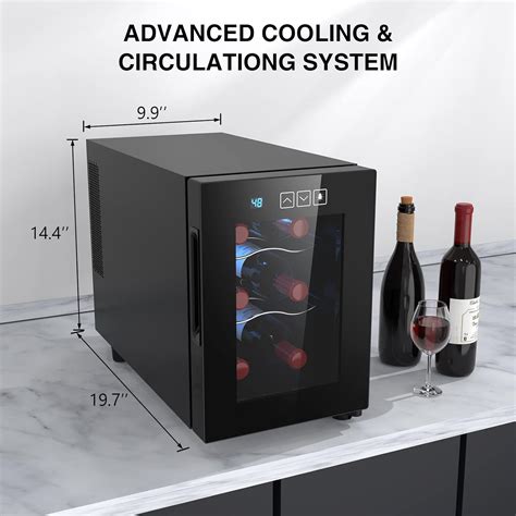 Mojgar 6 Bottle Wine Cooler Review