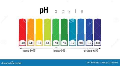 La Escala De Colores Del Ph Stock De Ilustración Ilustración De Alcalino Color 119001030