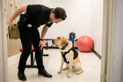 OUR Rescue Help Rescue People From Sex Trafficking Exploitation