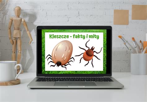 Kleszcze Fakty I Mity EduPassion