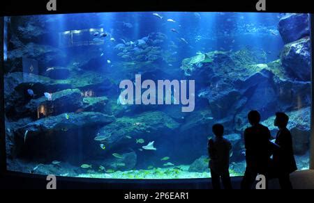 Tokyo Sky Tree Town and Tokyo Solamachi Stock Photo - Alamy