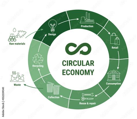 Vetor Do Stock Circular Economy Line Infographic On Green Diagram