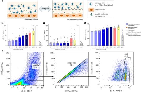 Frontiers Immuno Inflammatory In Vitro Hepatotoxicity Models To