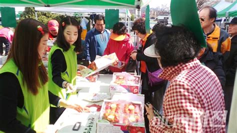 충남농협 농·축산물 직거래 금요장터 개장 미디어대전