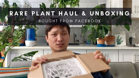 Rare Plant Haul And Unboxing From Facebook Vlog 12 Youtube