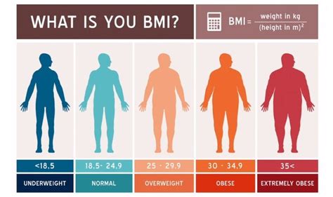 Height and Weight Chart For Adults - HowLiven