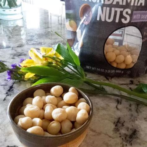 Kirkland Signature Dry Roasted Macadamia Nuts With Sea Salt Snack Nuts