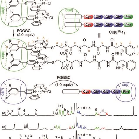 Recognition Of Cb 7 By Assembly Cb 8 Pt·12 ¹h And ¹⁹f Nmr Spectra Of Download Scientific