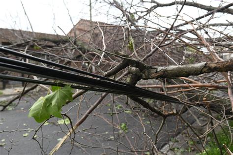 Las Impactantes Fotos De Los Destrozos Que Dejó El Temporal En Las Calles De La Plata