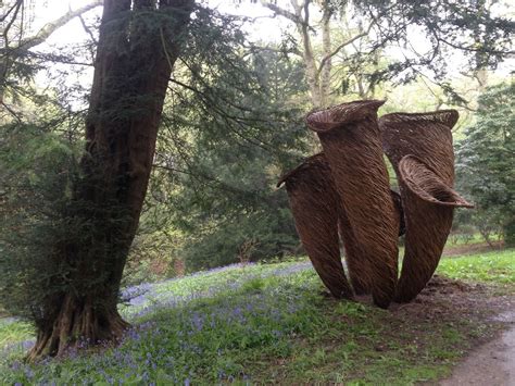 «Грибное волшебное кольцо» | Land art, Kew gardens, Earth art