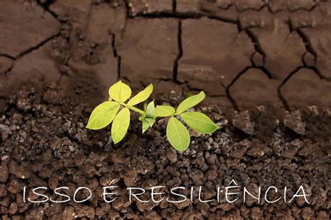 O que é resiliência Aprenda resiliência exemplos práticos