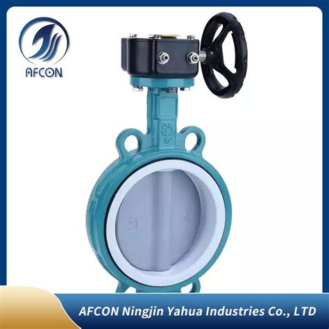 Ansi Din Standard Cast Ductile Iron Concentric Wafer Lug Flange Type