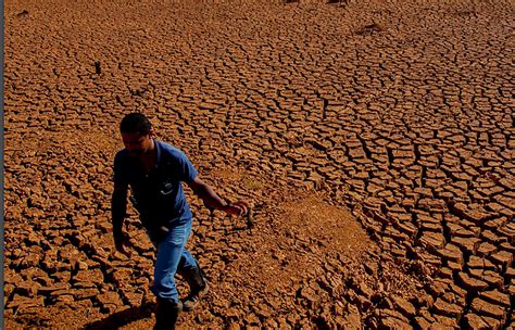 Mudanças climáticas estudo revela ponto de ruptura em 10 ecossistemas