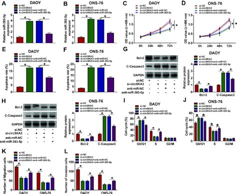 Circska Facilitated Cell Proliferation Migration And Invasion While