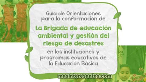 Orientaciones Para La Conformación De Las Brigadas De Educación