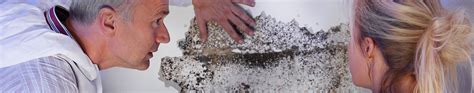 Residential Mold Remediation Services Austin Texas Voda