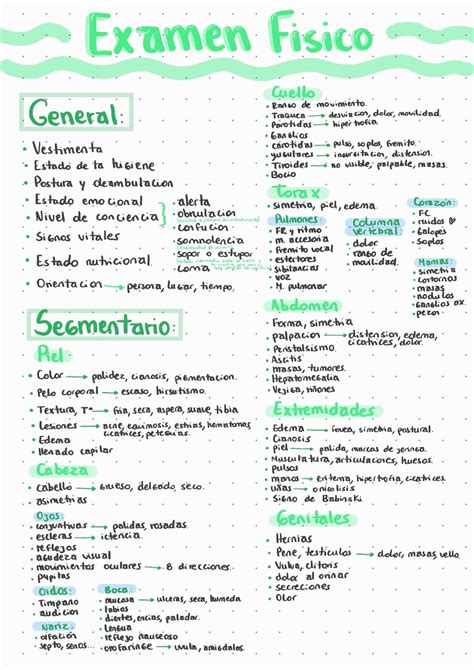 Apunte De Enfermeria Examen Fisico General Y Segmentario Tecnico