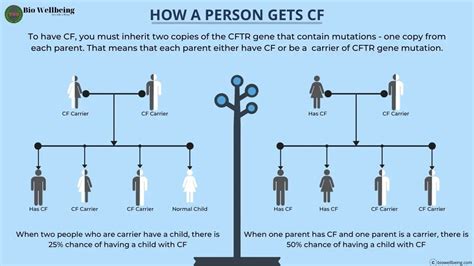 Cystic Fibrosis Cf Symptoms Causes Diagnosis Treatments Bio Wellbeing