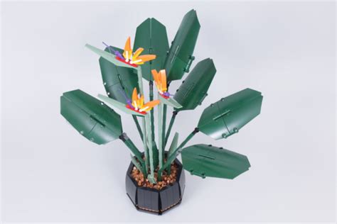 Lego Botanical Collection 10289 Bird Of Paradise Review