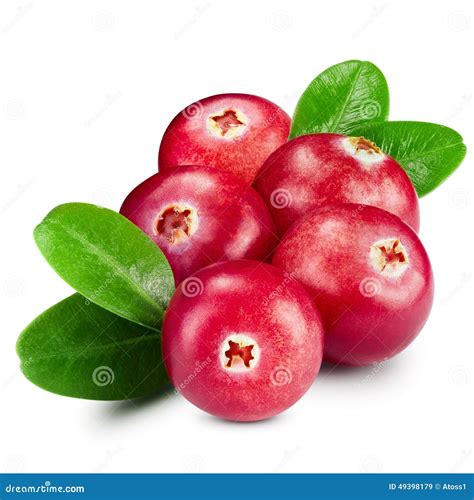 Cranberries Stock Image Image Of Pharmacy Macro Medicine 49398179
