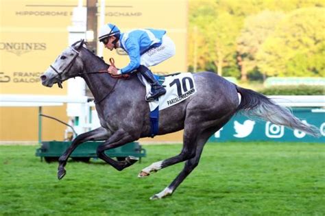 LES REYS La fiche CANALTURF du cheval performances pmu pédigré