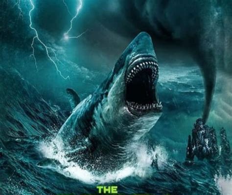 Robloxgo The Meg Shark Real Time Stats Insights And Ranking