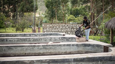 Ley General De Acuicultura Y Su Reglamento Cu L Es Su Objetivo Y En