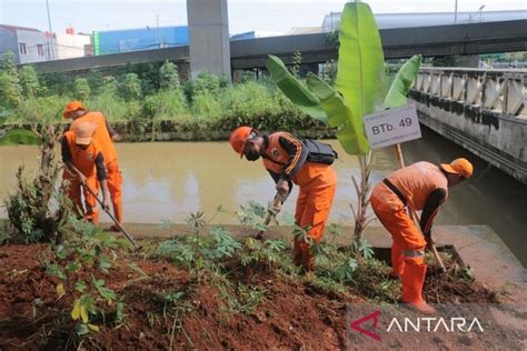 Pemkot Jaktim Tanam 150 Pohon Di Kolong Tol Becakayu ANTARA News