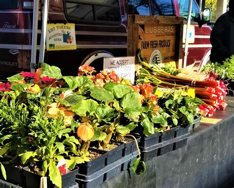 Downtown Fond Du Lac Farmers Market Offers Farm To Table Selections