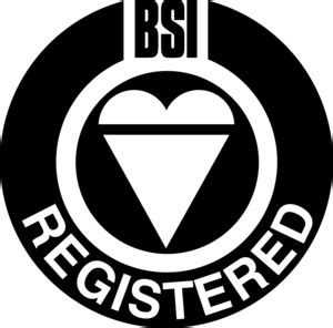 BSI REGISTERED Logo PNG Vector (SVG) Free Download