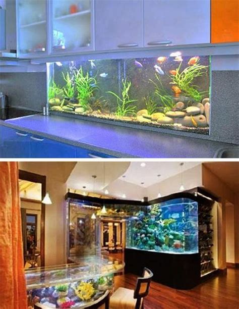 Best Home Aquarium Ideas With Low Cost | Home decorating Ideas