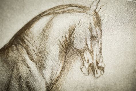 Leonardos Sketches And Drawings Horse Stock Illustration - Download ...