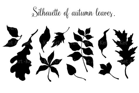 Silhouette of autumn leaves. (2688202)