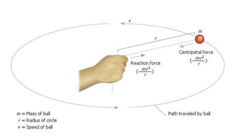 Free Body Diagram Centripetal Force