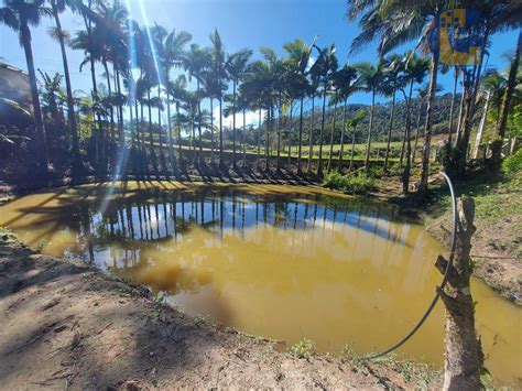 S Tio Venda No Bairro Lageado Baixo Em Guabiruba Sc