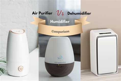 Air Purifier Vs Humidifier Vs Dehumidifier Which Is The Best