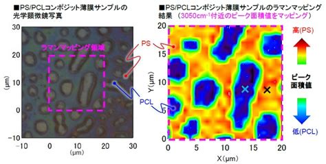 Mst｜ラマンマッピングによる有機膜の組成分布評価c0632