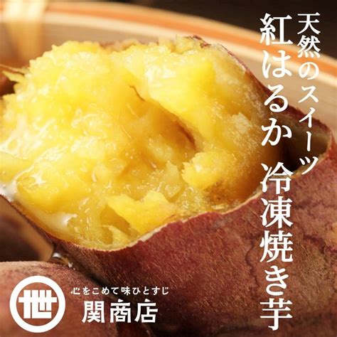 冷凍焼き芋 茨城 紅はるか 合計15kg500g×3袋 ギフト プレゼント 食品 焼き芋 さつまいも 焼いも 茨城県 関商店 スミフル