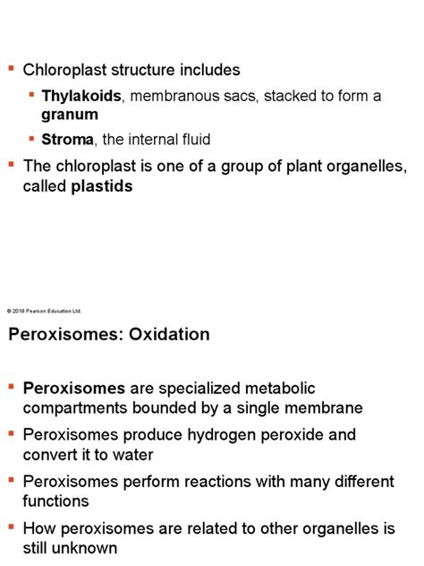 07 Lecture Presentation Part B Short Download Free Pdf Cytoskeleton