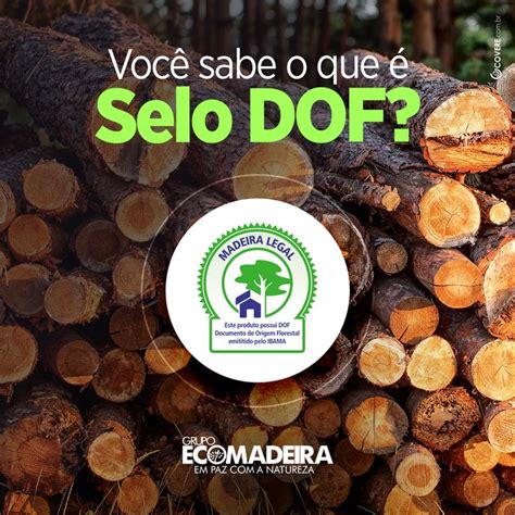 O Documento de Origem Florestal DOF é um selo emitido pelo IBAMA Ele