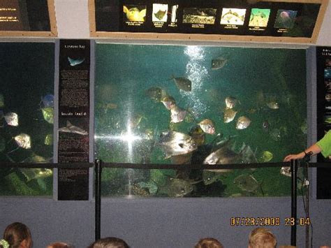 Atlantic City Aquarium Historic Gardner's Basin - All You Need to Know ...