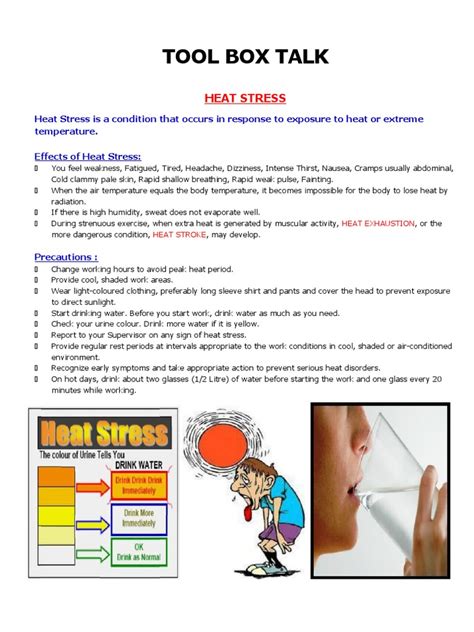 Why Is Toolbox Talk Important In An Organisation