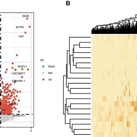 Identification Of Differential Expressed Gene Between Non Metastatic