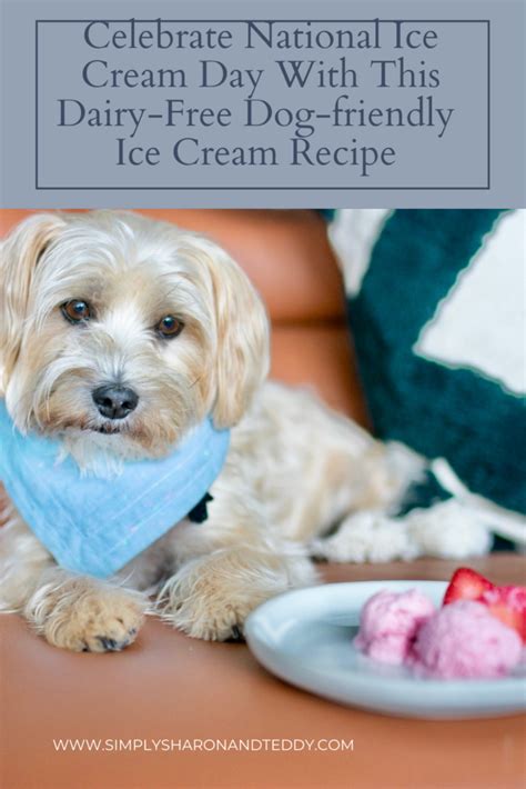 The Easiest Homemade Dog-Friendly Ice Cream Recipe - Simply Sharon and ...