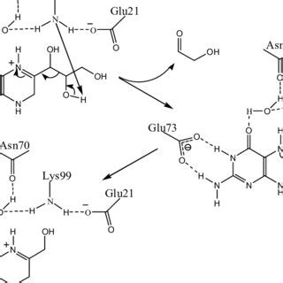 Structure Of Candida Antarctica Lipase B That Belongs To The