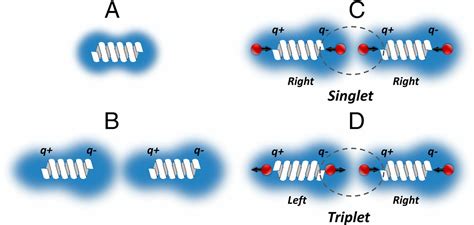 Chirality Induced Spin Polarization Places Symmetry Constraints On